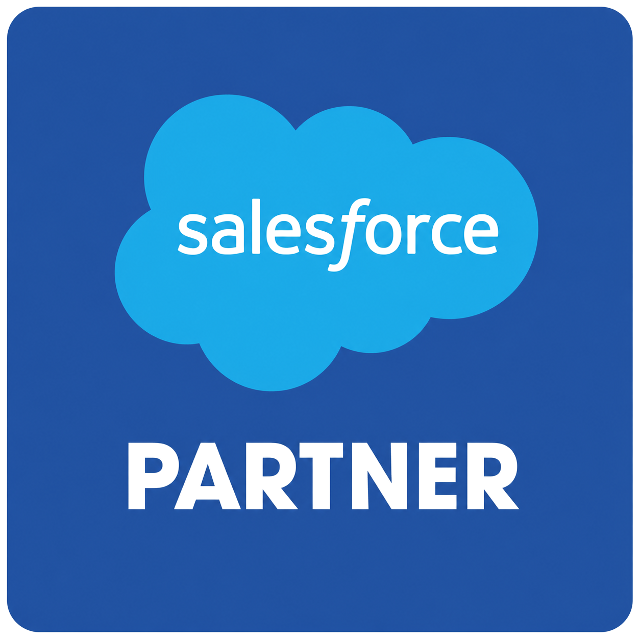 Salesforce Partner